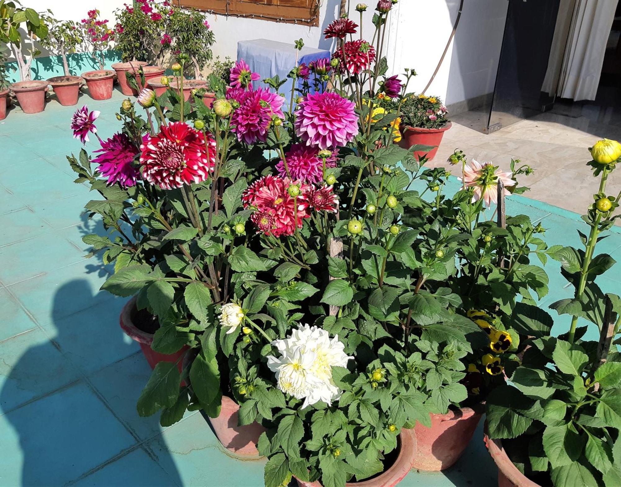 Fully Furnished Ish, Atithya Homestay With Various Amenities And Free Services In Lucknow, India Buitenkant foto