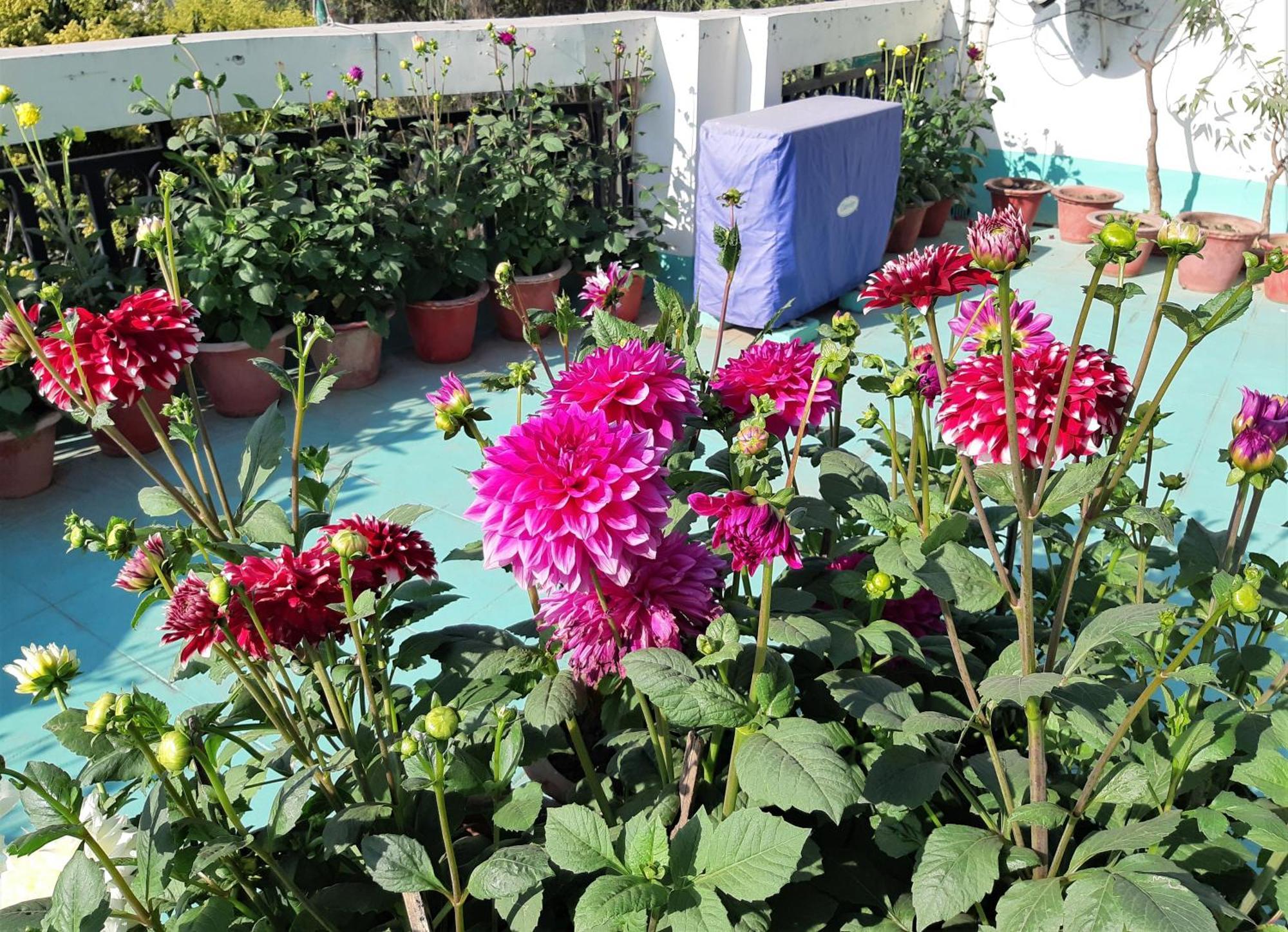 Fully Furnished Ish, Atithya Homestay With Various Amenities And Free Services In Lucknow, India Buitenkant foto